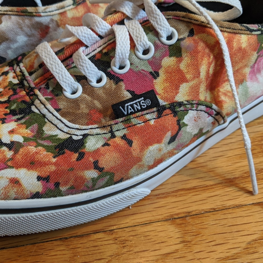 Vans Lo Pro Shoes